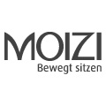 MOIZI_grey